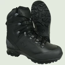 Ботинки Haix Nebraska Pro GTX (Black)